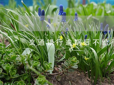 交通银行逾期后不给用 交通银行逾期后不给用