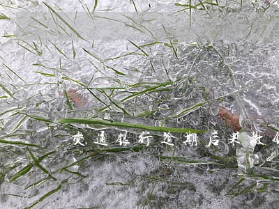 交通银行逾期后果撤销 交通银行逾期后果撤销