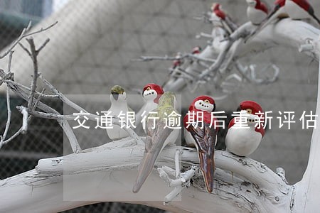 交通银行逾期后重新评估 交通银行逾期后重新评估