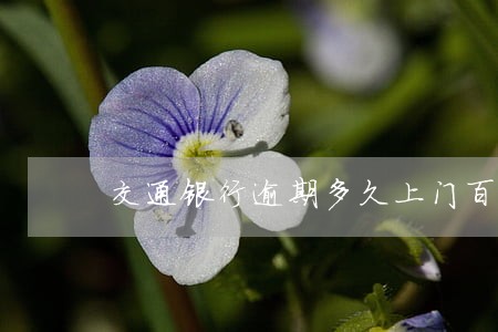 交通银行逾期多久上门百度论坛 交通银行逾期多久上门百度论坛
