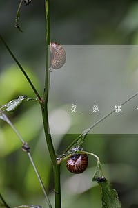 交通银行逾期寄信催款 交通银行逾期寄信催款