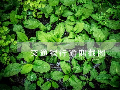 交通银行逾期截图 交通银行逾期截图