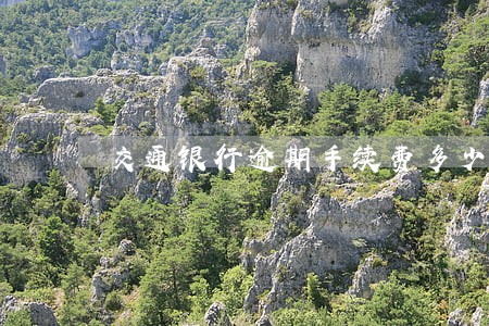 交通银行逾期手续费多少 交通银行逾期手续费多少