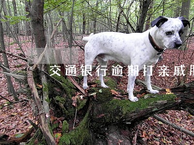 交通银行逾期打亲戚朋友电话