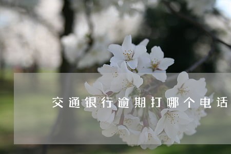 交通银行逾期打哪个电话 交通银行逾期打哪个电话