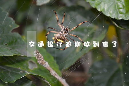 交通银行逾期收到信了 交通银行逾期收到信了