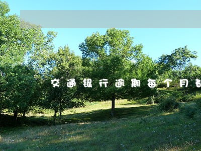 交通银行逾期每个月都有还