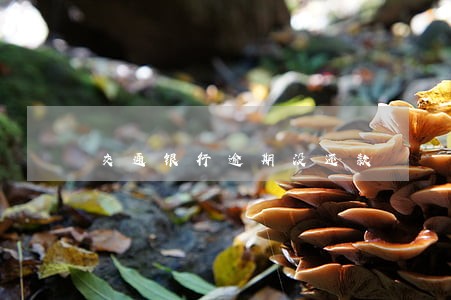 交通银行逾期没还款