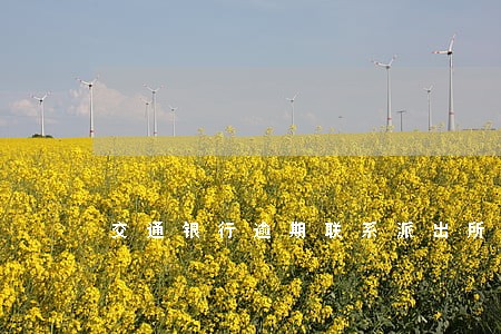 交通银行逾期联系派出所