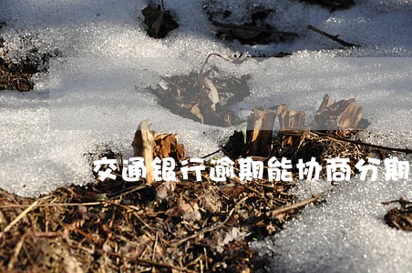 交通银行逾期能协商分期 交通银行逾期能协商分期