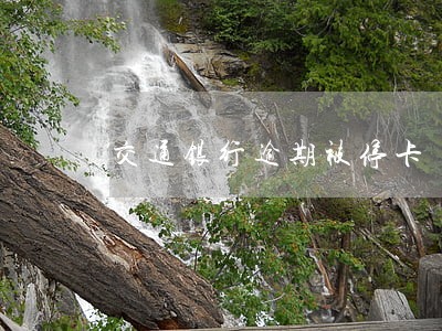 交通银行逾期被停卡 交通银行逾期被停卡
