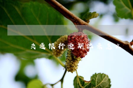 交通银行逾期记录怎么 交通银行逾期记录怎么