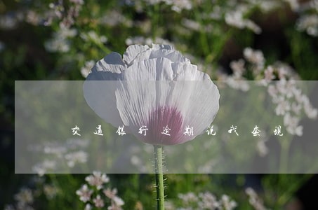 交通银行逾期说我套现 交通银行逾期说我套现