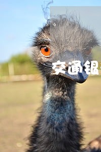 交通银行逾期说要上门催收
