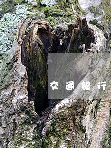 交通银行逾期账单怎么看 交通银行逾期账单怎么看