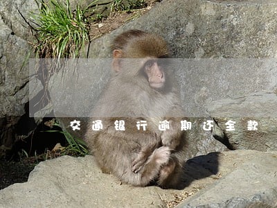 交通银行逾期还全款 交通银行逾期还全款