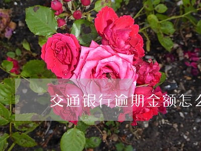 交通银行逾期金额怎么算的 交通银行逾期金额怎么算的