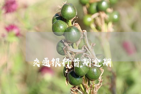 交通银行首期逾期 交通银行首期逾期