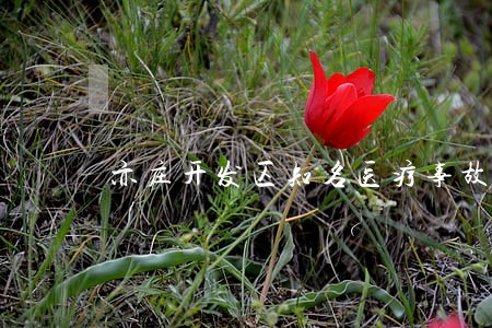 亦庄开发区知名医疗事故纠纷律师 亦庄开发区知名医疗事故纠纷律师