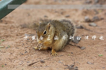 亦庄西区经济纠纷律师收费 亦庄西区经济纠纷律师收费