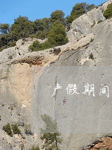 产假期间停薪留职是违法的吗 产假期间停薪留职是违法的吗