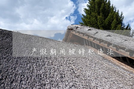 产假期间被辞职违法 产假期间被辞职违法