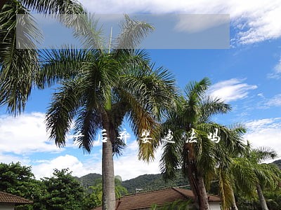 产后弃婴违法吗 产后弃婴违法吗