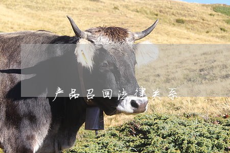 产品召回法律关系