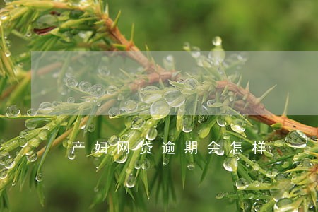 产妇网贷逾期会怎样 产妇网贷逾期会怎样