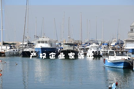 产权企业家诉讼 产权企业家诉讼