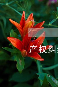 产权纠纷法律咨询电话 产权纠纷法律咨询电话