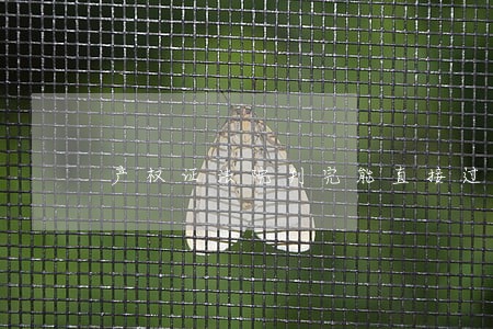 产权证法院判完能直接过户 产权证法院判完能直接过户
