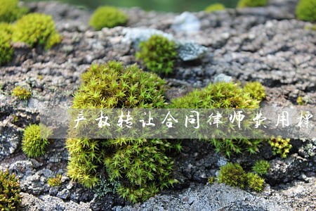 产权转让合同律师费用标准 产权转让合同律师费用标准