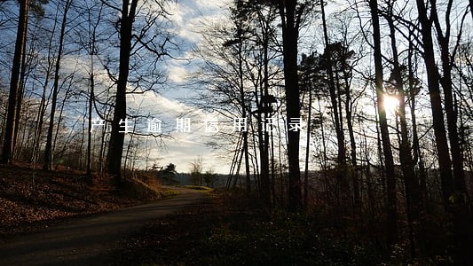 产生逾期信用记录 产生逾期信用记录