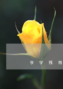 亨宇钱包逾期4年 亨宇钱包逾期4年