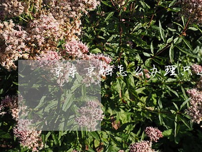 京东京融怎么办理只还本金 京东京融怎么办理只还本金