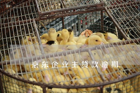 京东企业主贷款逾期