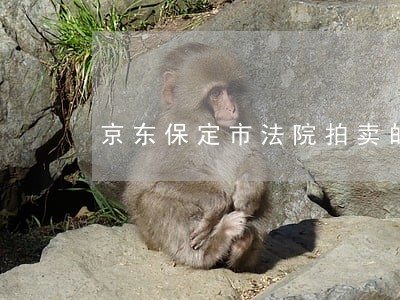 京东保定市法院拍卖的房产 京东保定市法院拍卖的房产