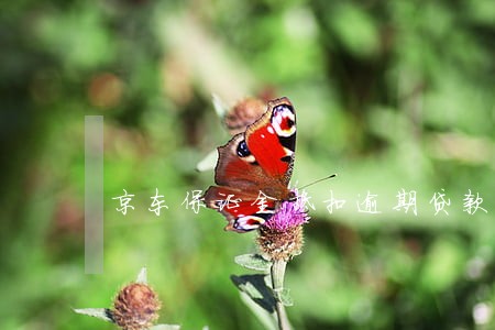 京东保证金抵扣逾期贷款 京东保证金抵扣逾期贷款