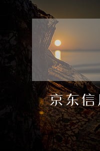 京东信用卡逾期4个月了怎么办 京东信用卡逾期4个月了怎么办