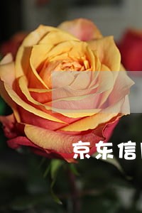 京东信用卡逾期了还能还清吗