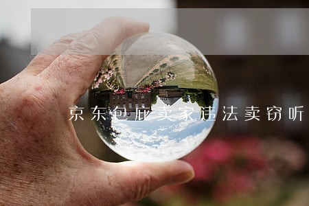 京东包庇卖家违法卖窃听器 京东包庇卖家违法卖窃听器