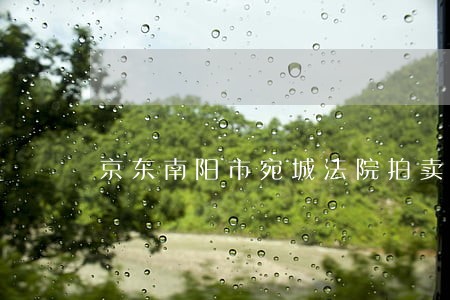 京东南阳市宛城法院拍卖平台 京东南阳市宛城法院拍卖平台