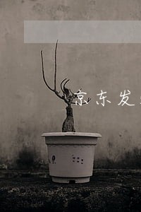 京东发短信说寄了个金融律师函 京东发短信说寄了个金融律师函