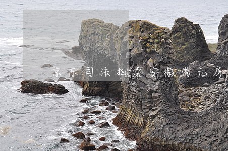 京东司法拍卖安徽尚元房产 京东司法拍卖安徽尚元房产
