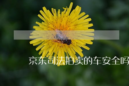 京东司法拍卖的车安全吗 京东司法拍卖的车安全吗