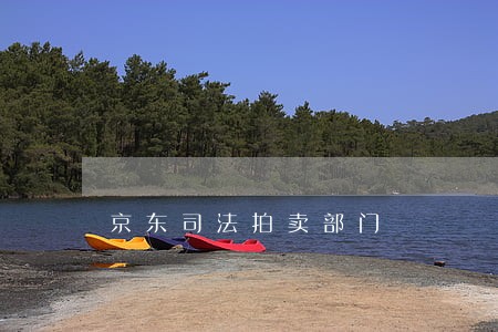 京东司法拍卖部门 京东司法拍卖部门