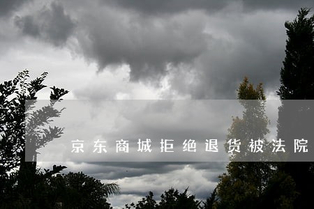 京东商城拒绝退货被法院驳回 京东商城拒绝退货被法院驳回