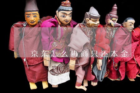 京东怎么协商只还本金 京东怎么协商只还本金