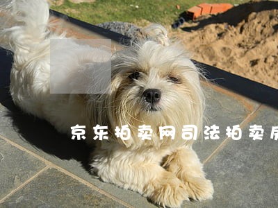 京东拍卖网司法拍卖房 京东拍卖网司法拍卖房
